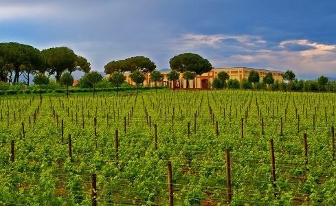 Tenuta_Rocca_di_Montemassi