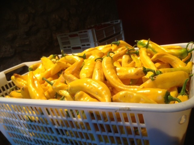 peperoncino piccante