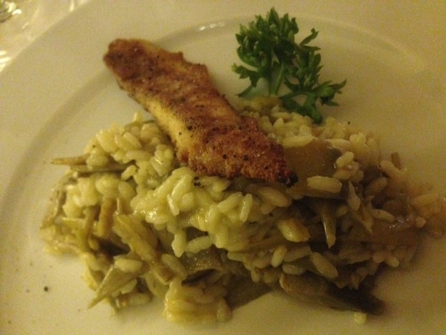 foto 3 (2)