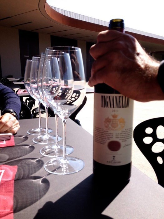 tignanello