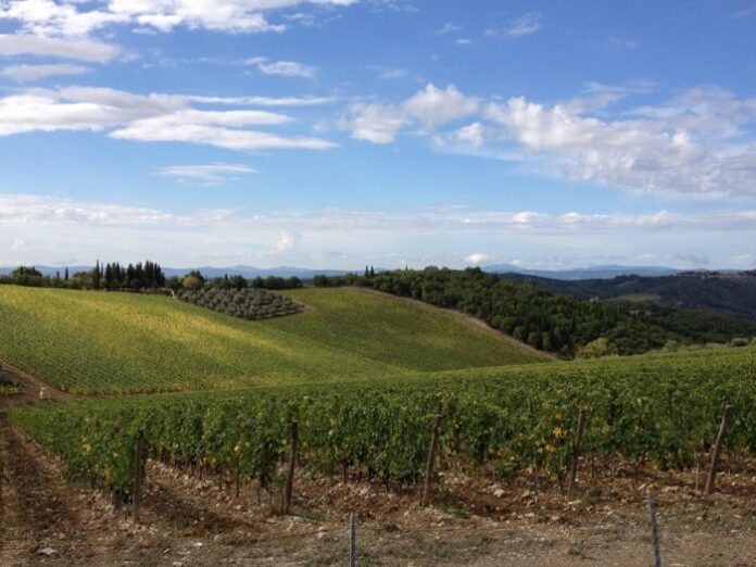 vigneti chianti classico Antinori