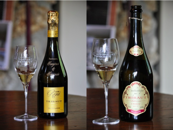 tribaut champagne