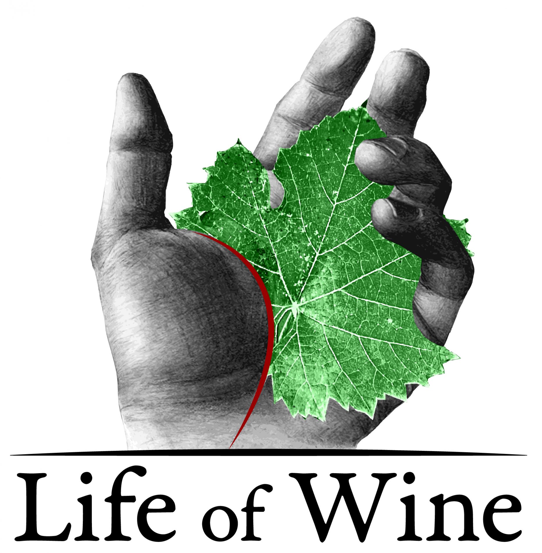 life of wine firenze
