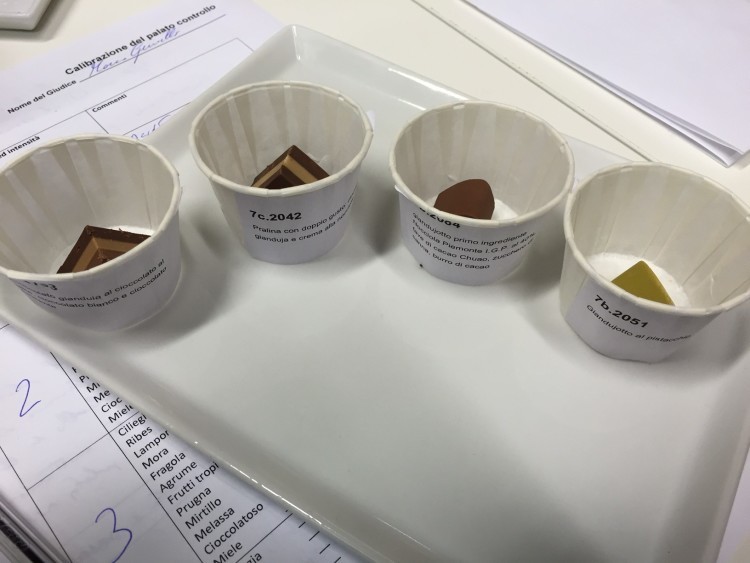 campioni cioccolata