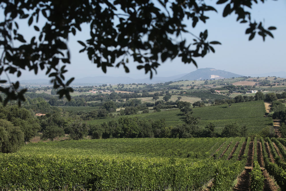 valditoro
