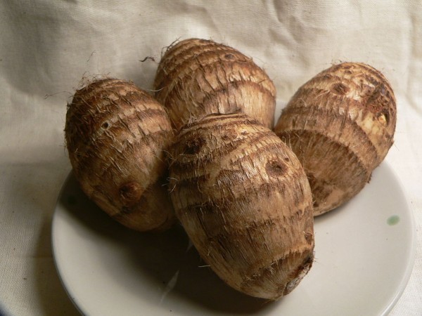 Taro_corms_2