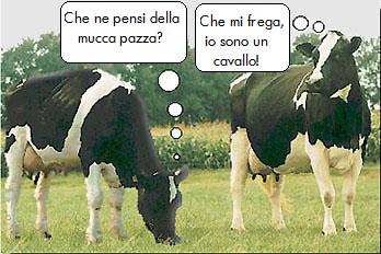 Mucca_pazza3