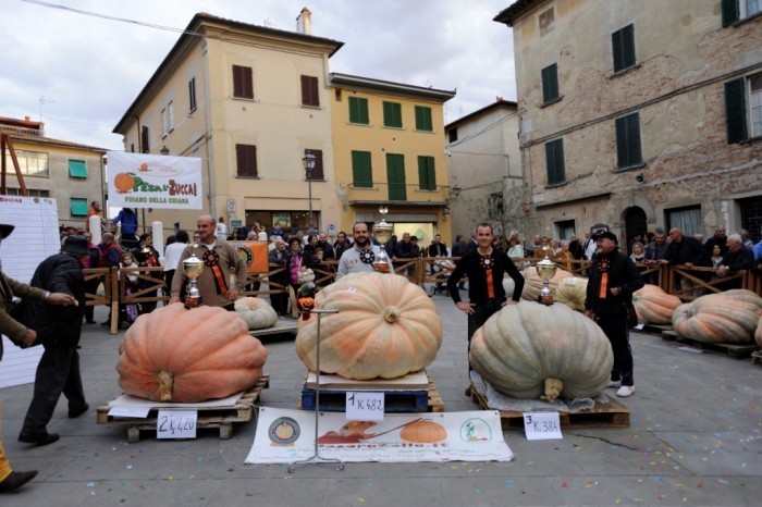 Pesa la zucca Foiano della Chiana Ar (2)