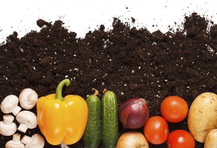 frutta-verdura-bio-bollino-biodegradabile-compostabile-2