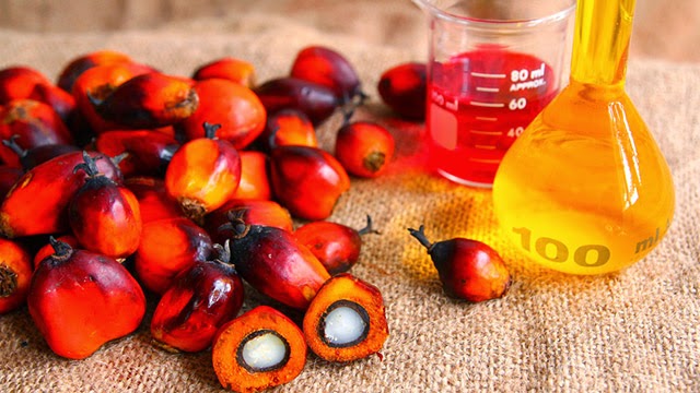 olio-di-palma-2