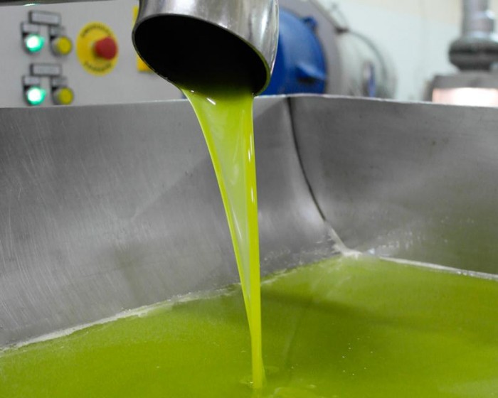 06_Olio_Oliva_uscita_separatore_centrifugo_Frantoio_Olio_Rinaldi