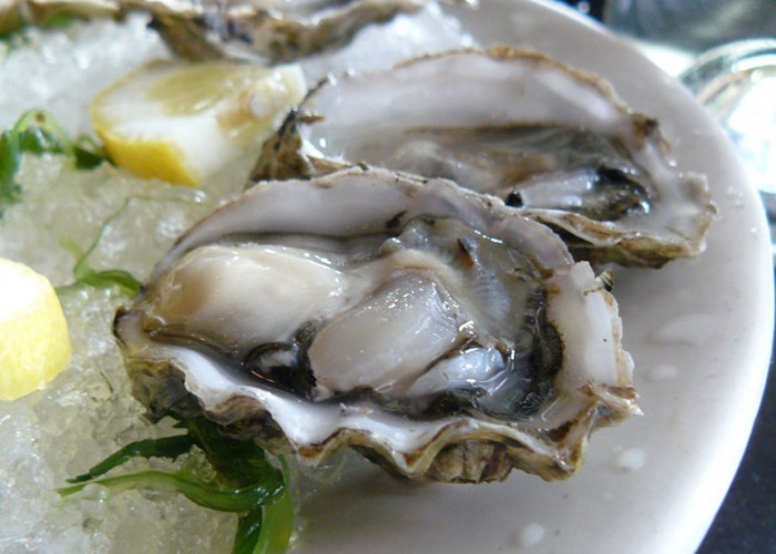 ostriche