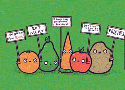 fine_veg
