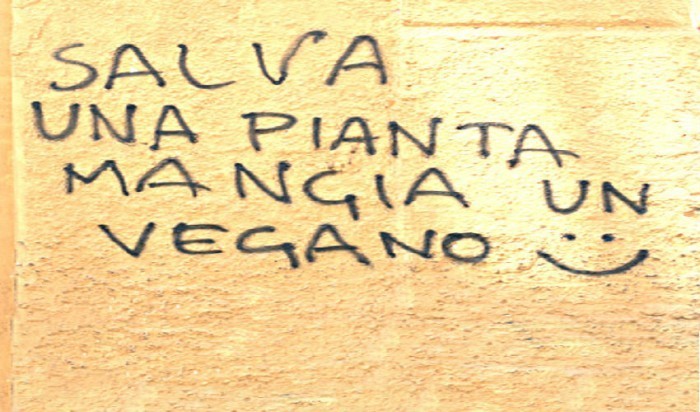 salva3