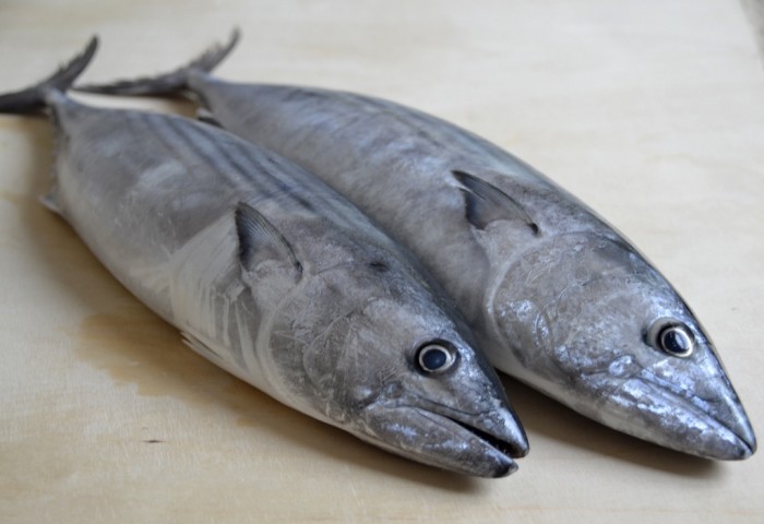 palamite