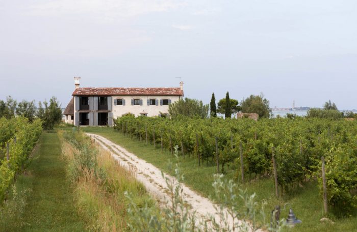 michel-thoulouze-house-renovation-with-vineyard-in-venice-10