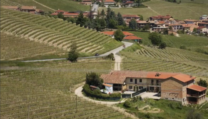 the trip to italy movie