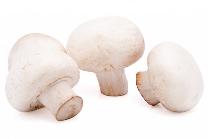 champignon