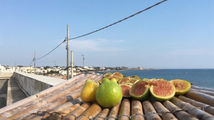 fichi secchi essiccati al sole