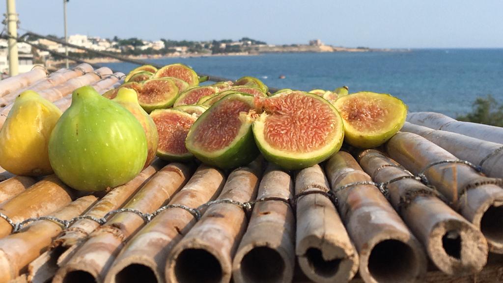 fichi secchi primizie del salento