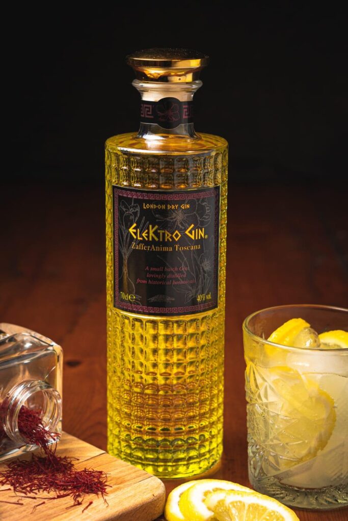 gin fabio elettrico
