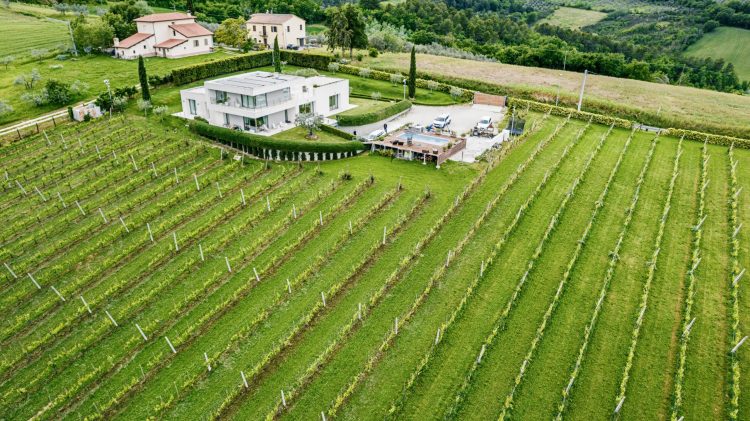 Gianluca Piernera - Cantina Ninni (ph. Marco Montori)