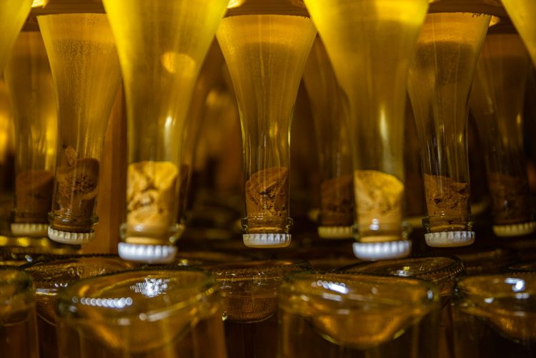Cantina Ninni (ph. Marco Montori)