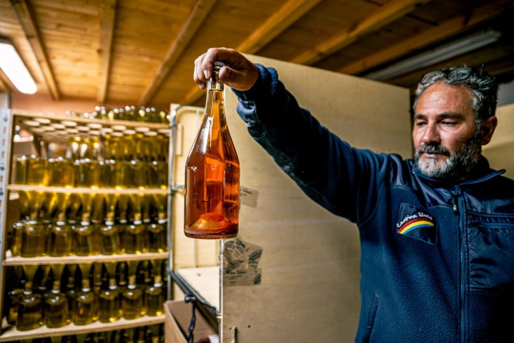 Gianluca Piernera - Cantina Ninni (ph. Marco Montori)