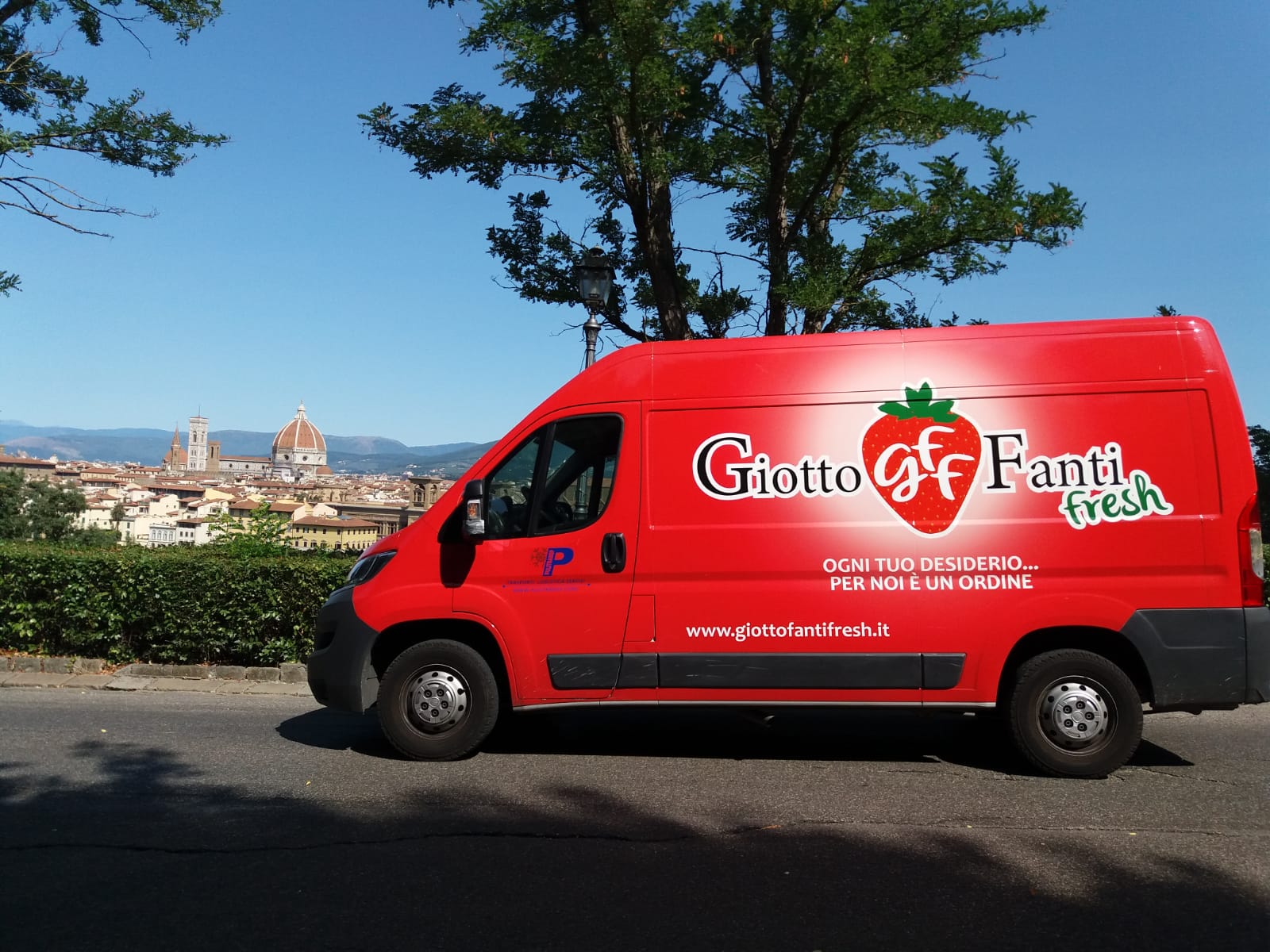 giotto fanti fresh