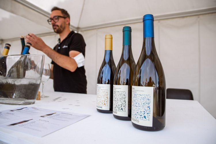 only wine 2021