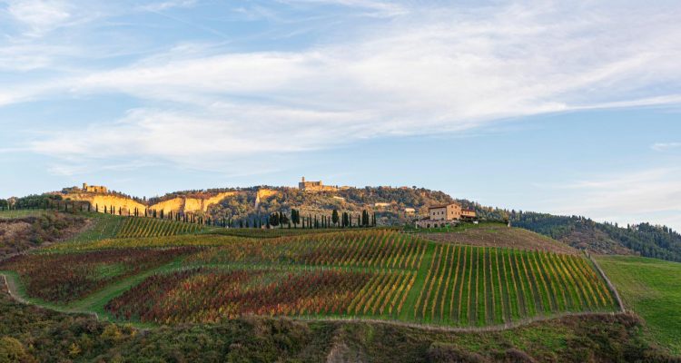 Podere Marcampo