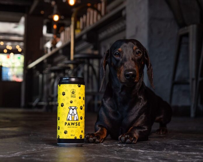 birra per cani Pawse
