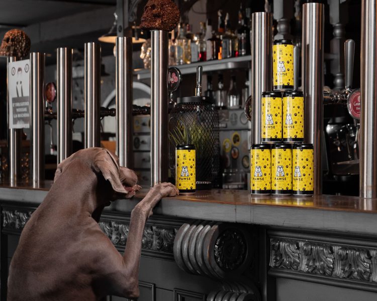birra per cani Pawse