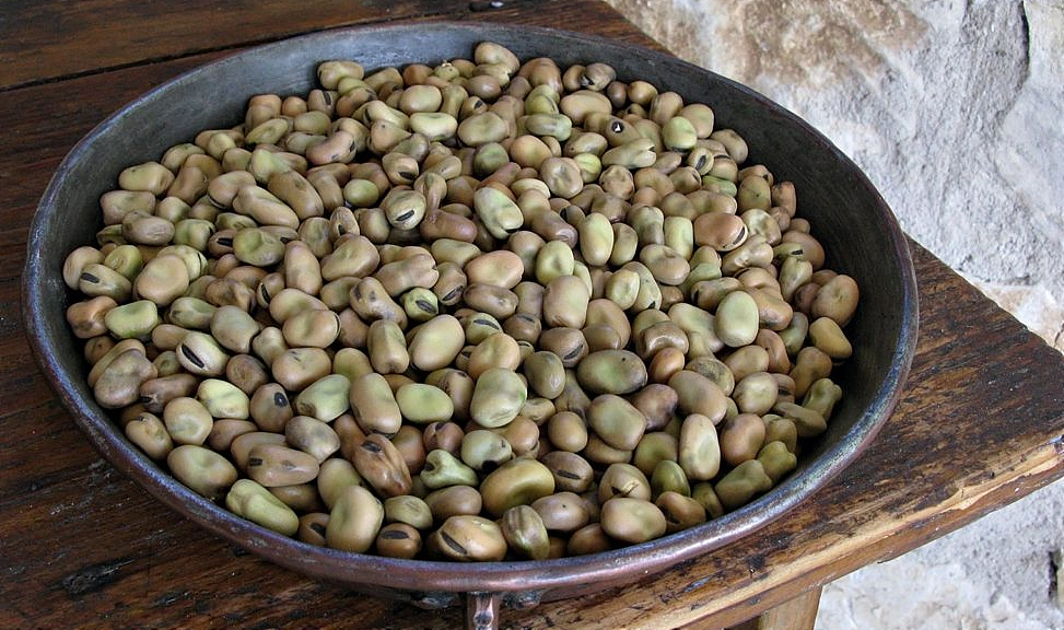 umbria transameria