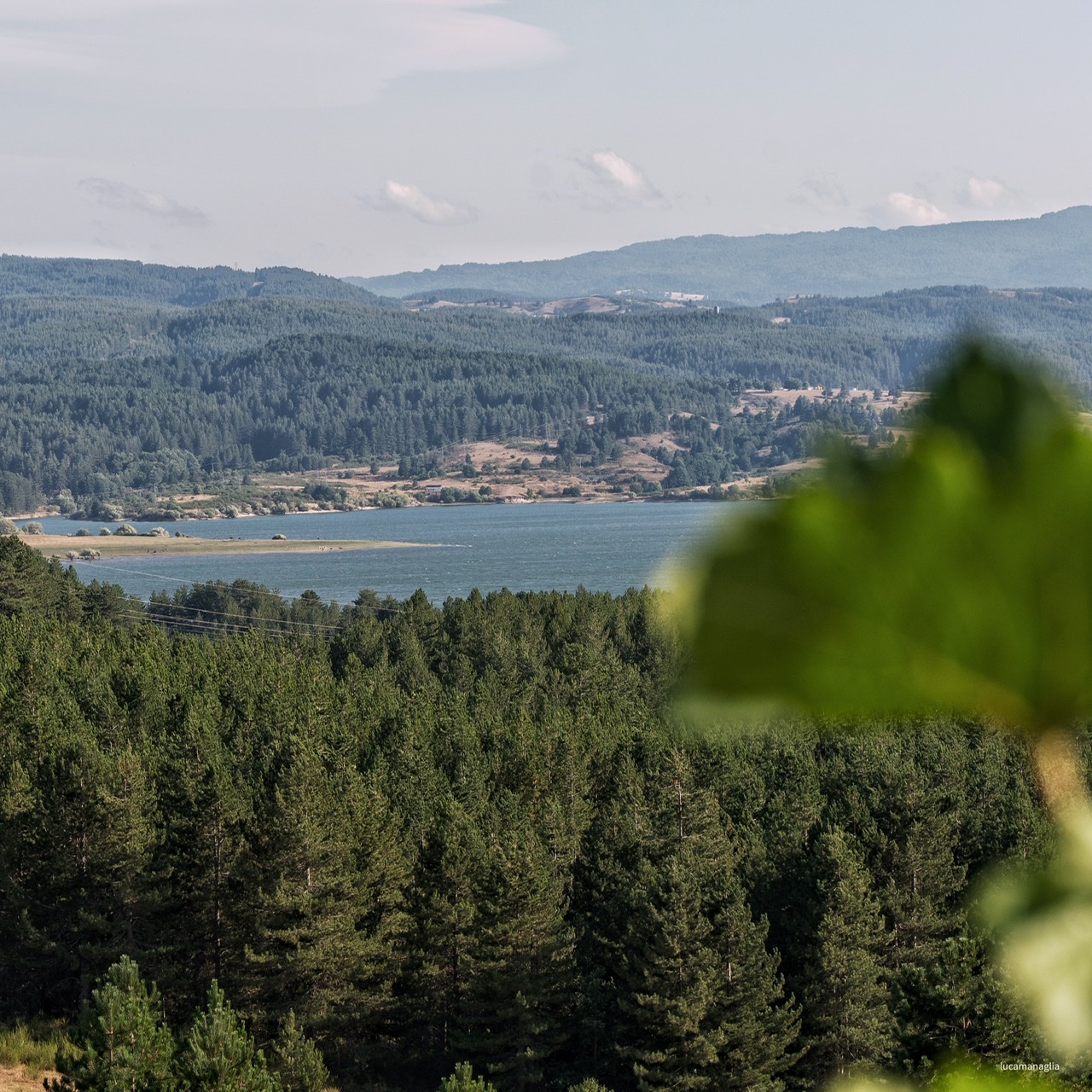 In Sila il vigneto più alto d'Europa