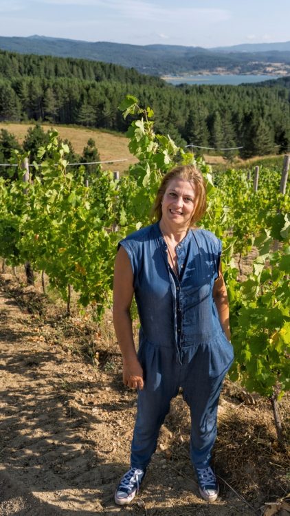 immacolata pedace vino
