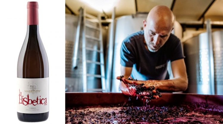 vini per l'estate rosati