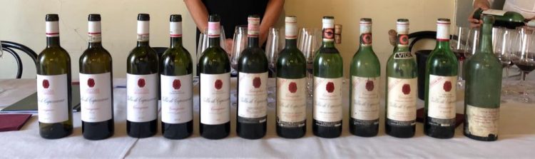 trebbiano di capezzana