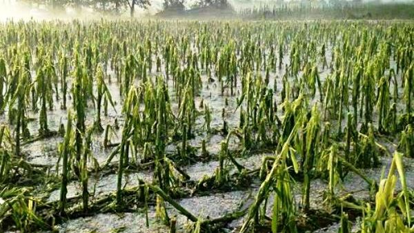 cambiamenti climatici