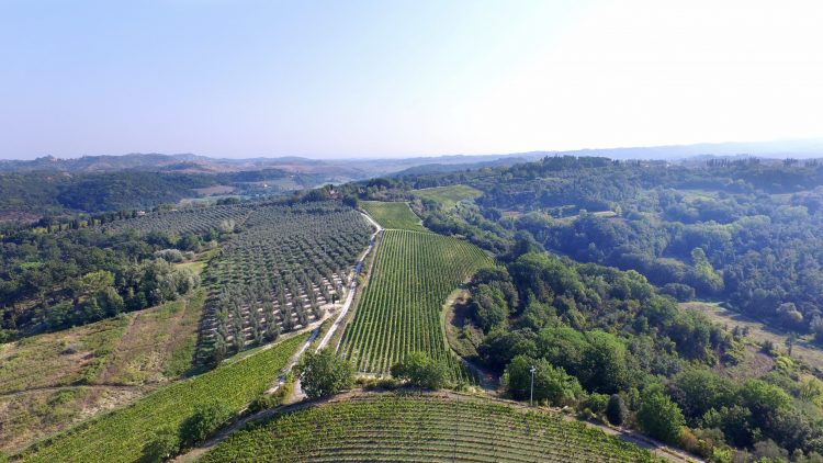 Tenuta di Ghizzano