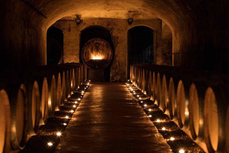 Tenuta di Ghizzano cantina