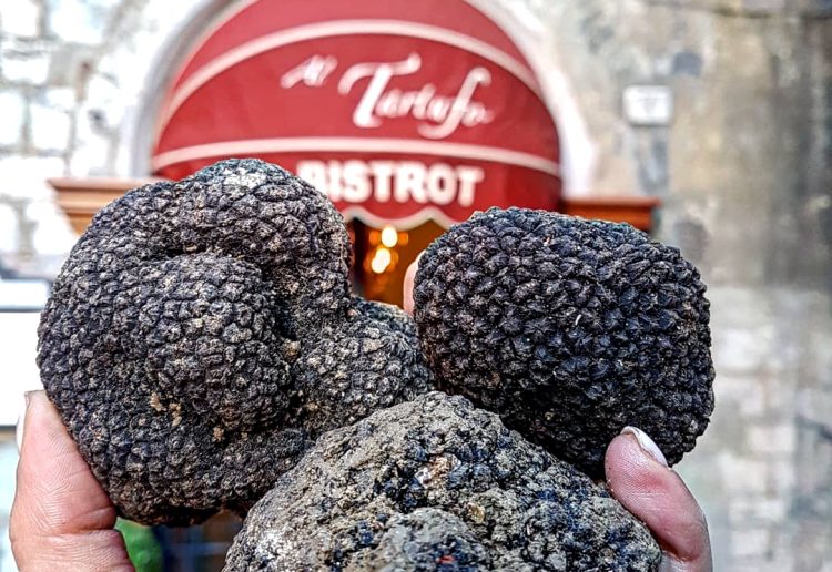 umbria e tartufi
