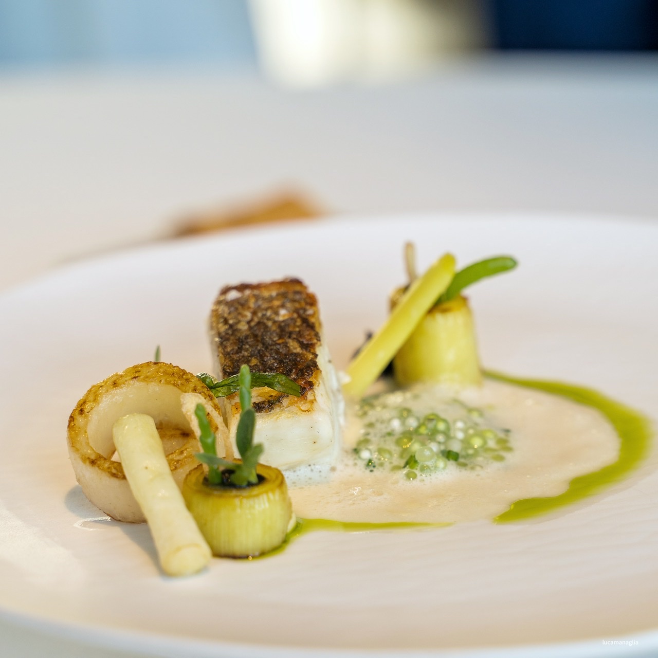Branzino, chef Salvatore Morello (ph. Luca Managlia)