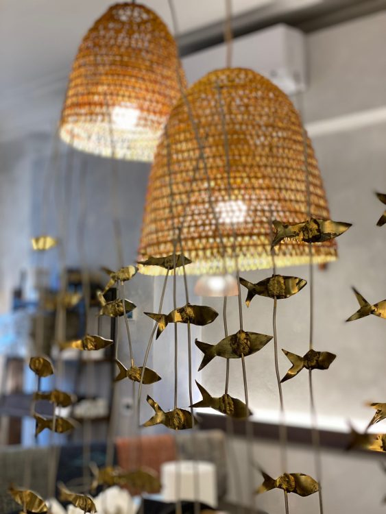 Fishing Lab Verona