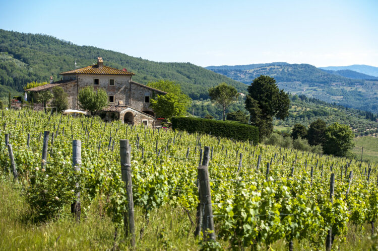 fattoria lavacchio