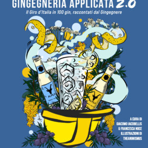 copertina libro Gingegneria Applicata 2.0 di Lorenzo Borgianni