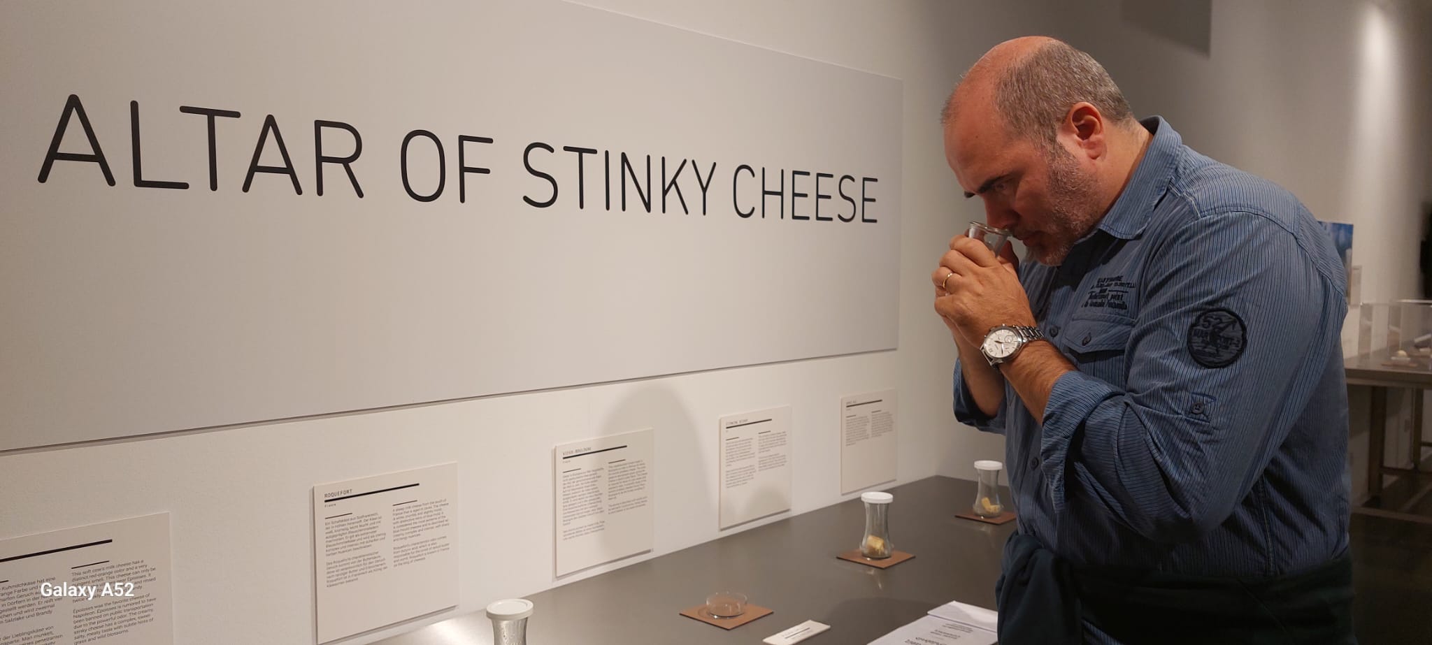 formaggi francesi presenti nel museo cibi disgustosi berlino