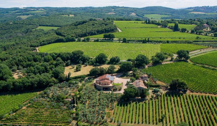 Collemattoni Brunello Montalcino Albori