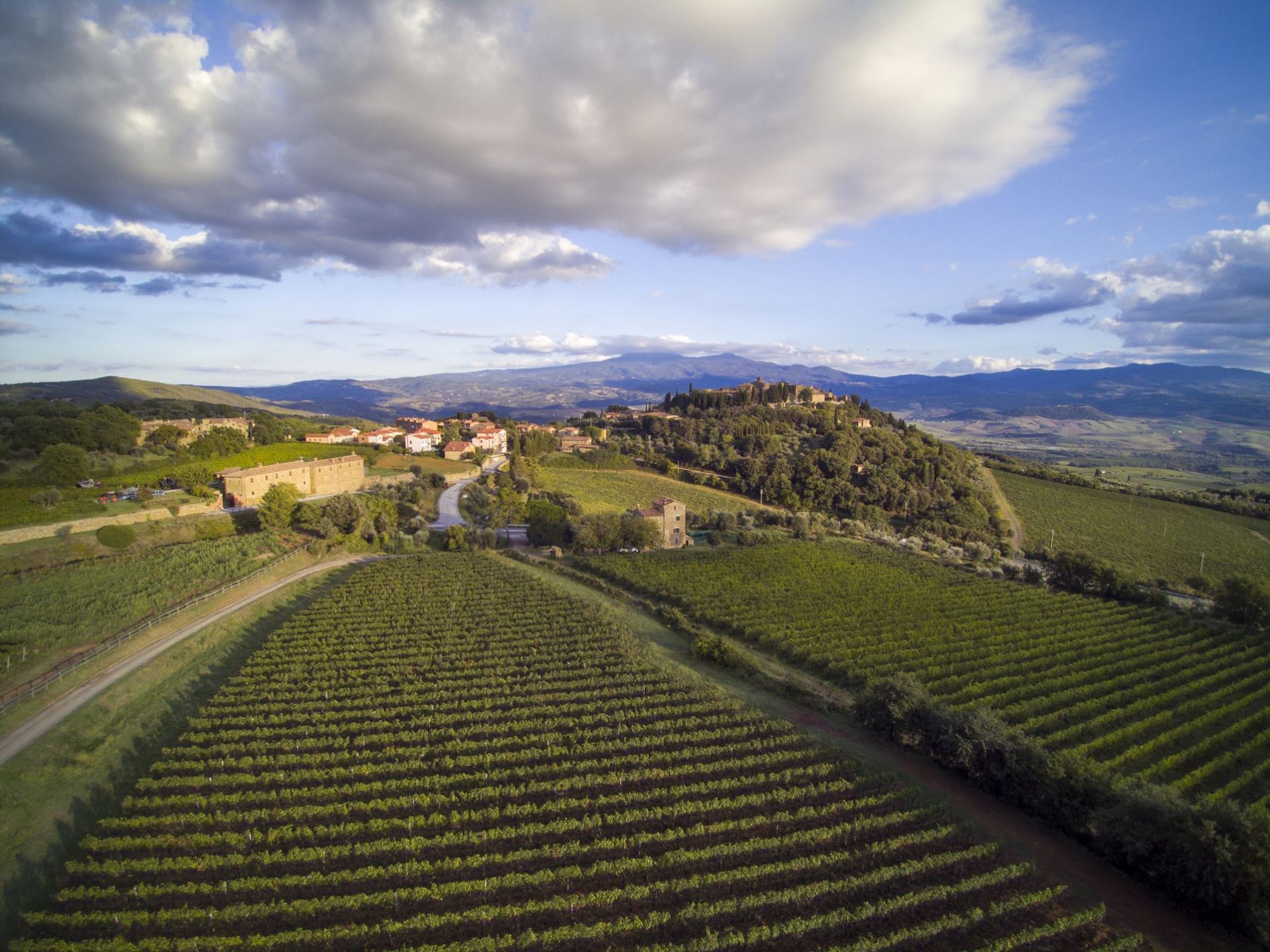 Collemattoni Brunello Montalcino
