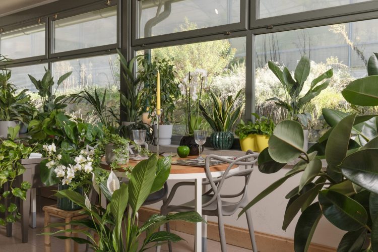 ristorante le lune firenze ristorante agricolo